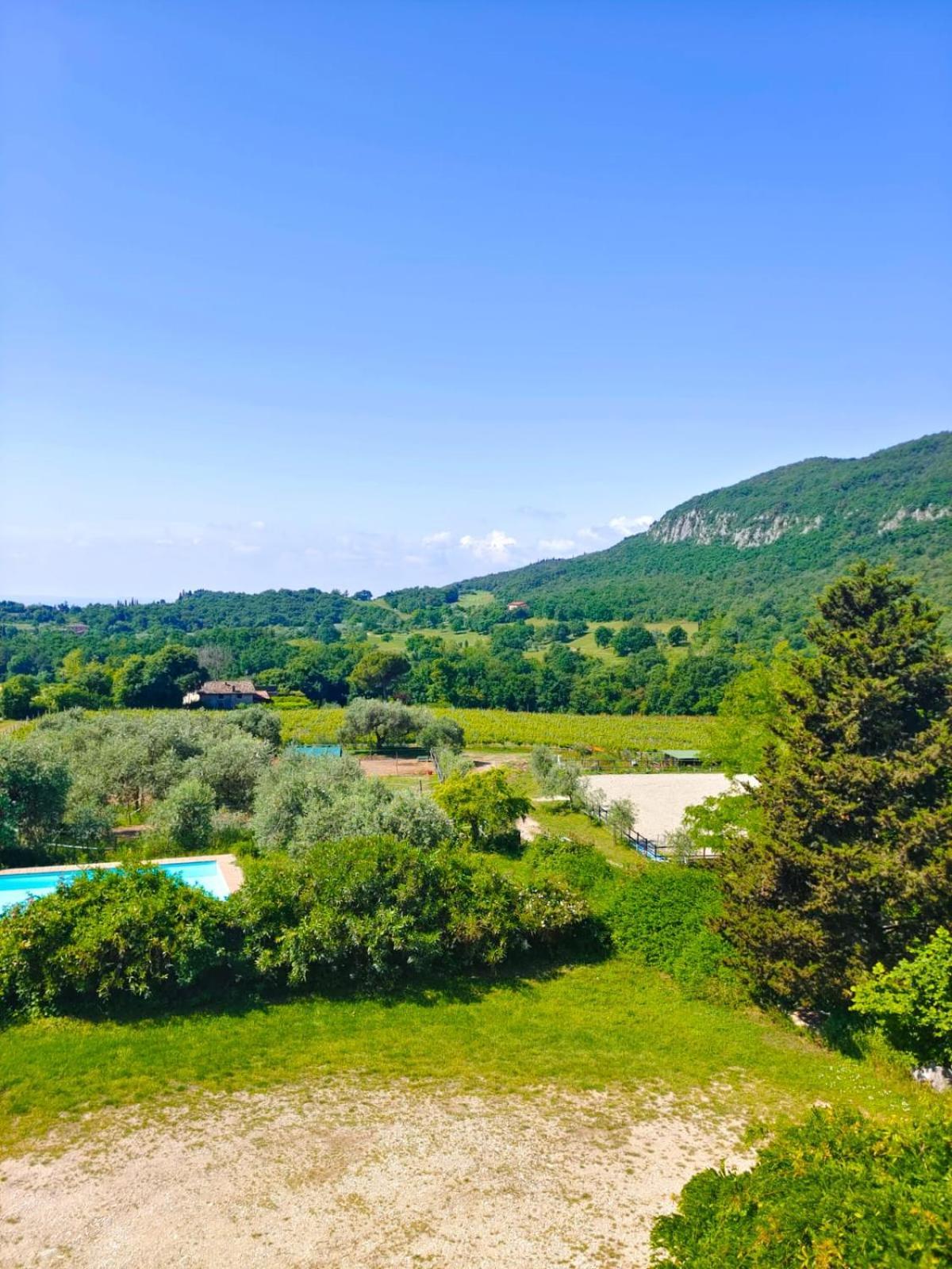 Apartament Il Rovero Castion Veronese Zewnętrze zdjęcie