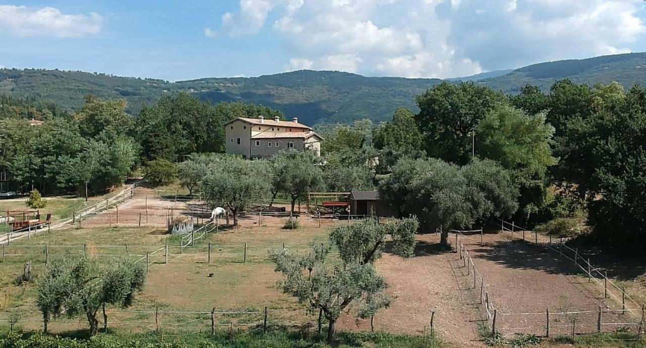 Apartament Il Rovero Castion Veronese Zewnętrze zdjęcie